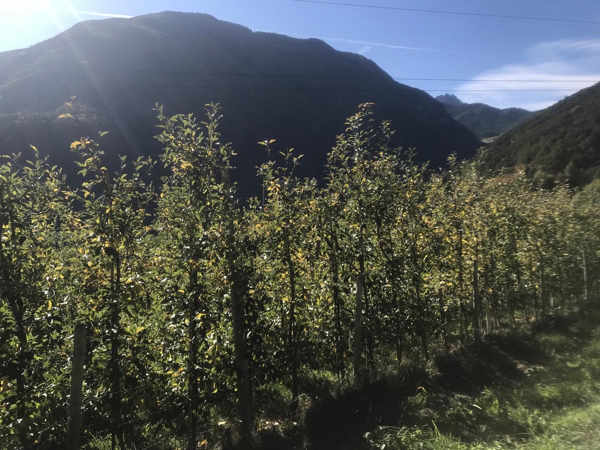Gasserhof Aicha Natz-Schabs Esterno foto