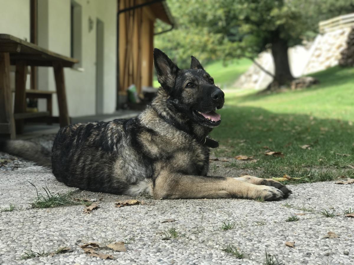 Gasserhof Aicha Natz-Schabs Esterno foto