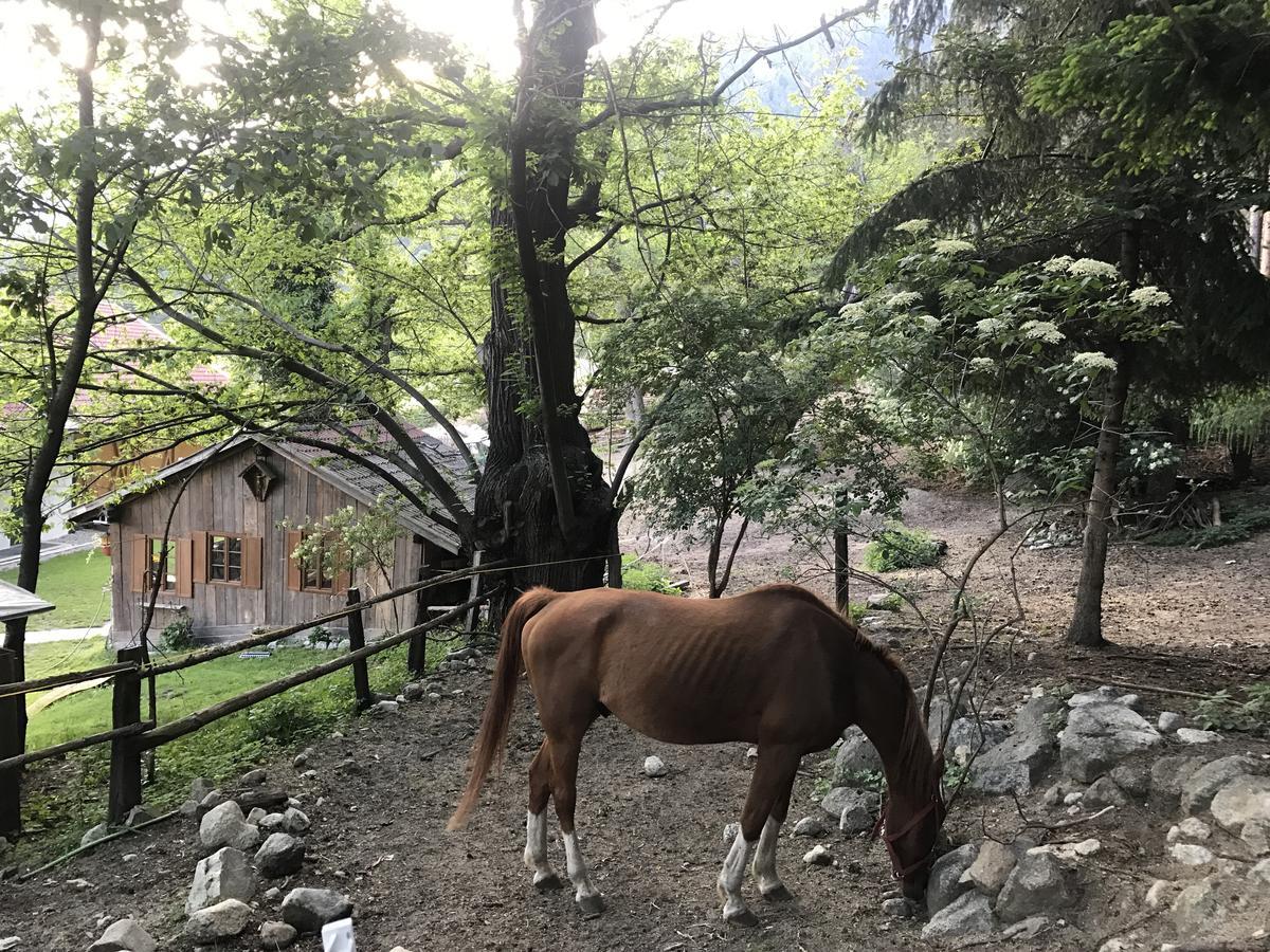 Gasserhof Aicha Natz-Schabs Esterno foto